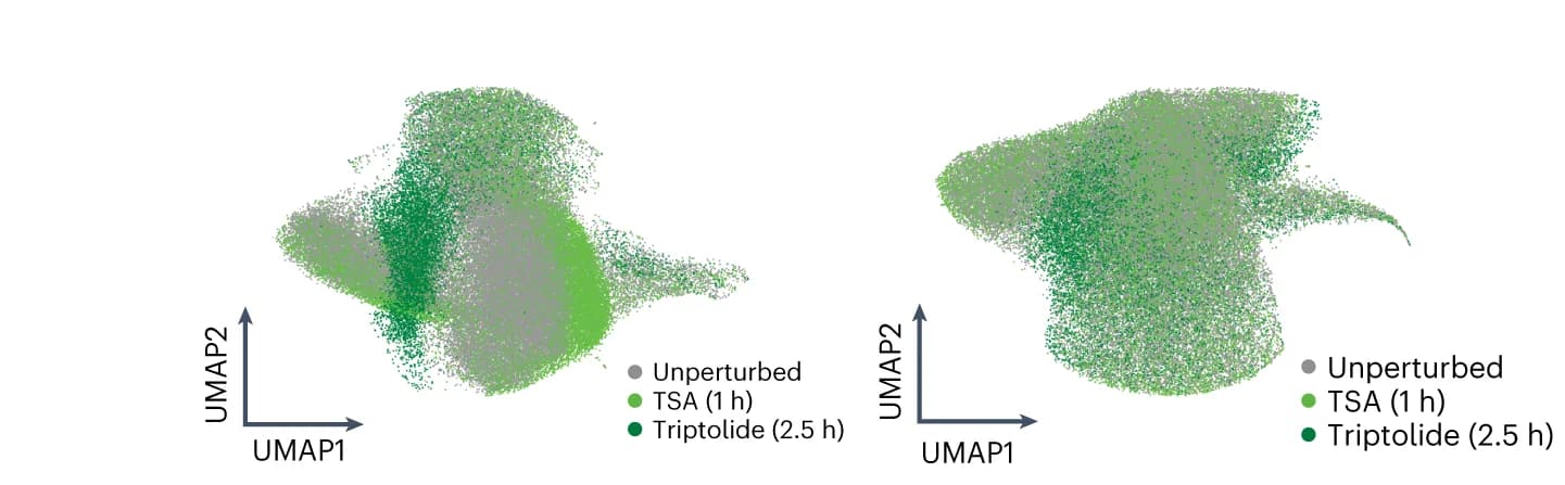 Open access visualization of UMAP, Pixels, Multiplexed Pixel Profiles, cVAE, Latent Space