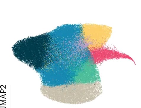 Open access visualization of Scatter Plot, UMAP, Pixels, cVAE, CAMPA