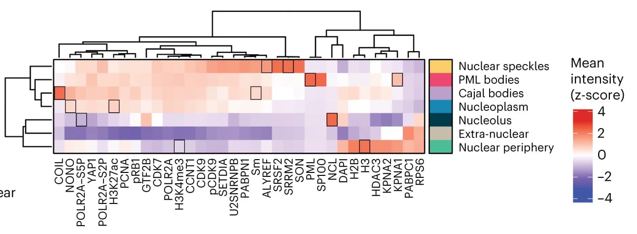 Open access visualization of Heatmap, Clustered, Mean Intensity, Channel, CSL