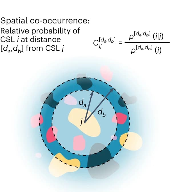 Open access visualization of Illustration, Spatial Co-occurrence