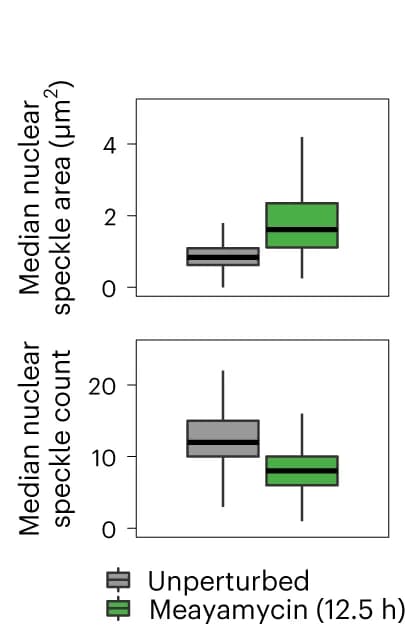 Open access visualization of Box Plot, Nuclear Speckles, Area, Number, Meayamycin