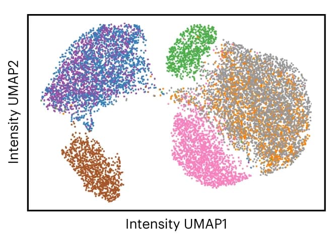 Open access visualization of Scatter Plot, UMAP, UMAP embedding, Per-nucleus mean intensity, Cells