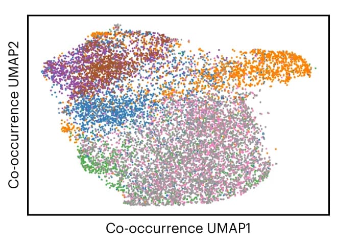 Open access visualization of Scatter Plot, UMAP, UMAP embedding, Pairwise CSL spatial co-occurrence scores, Cells