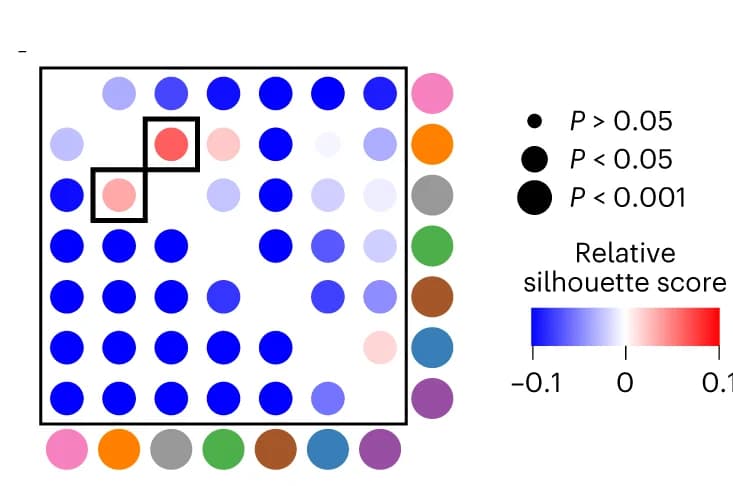 Open access visualization of Bubble Plot, Silhouette score, Pairwise CSL spatial co-occurrence scores, Statistical analysis