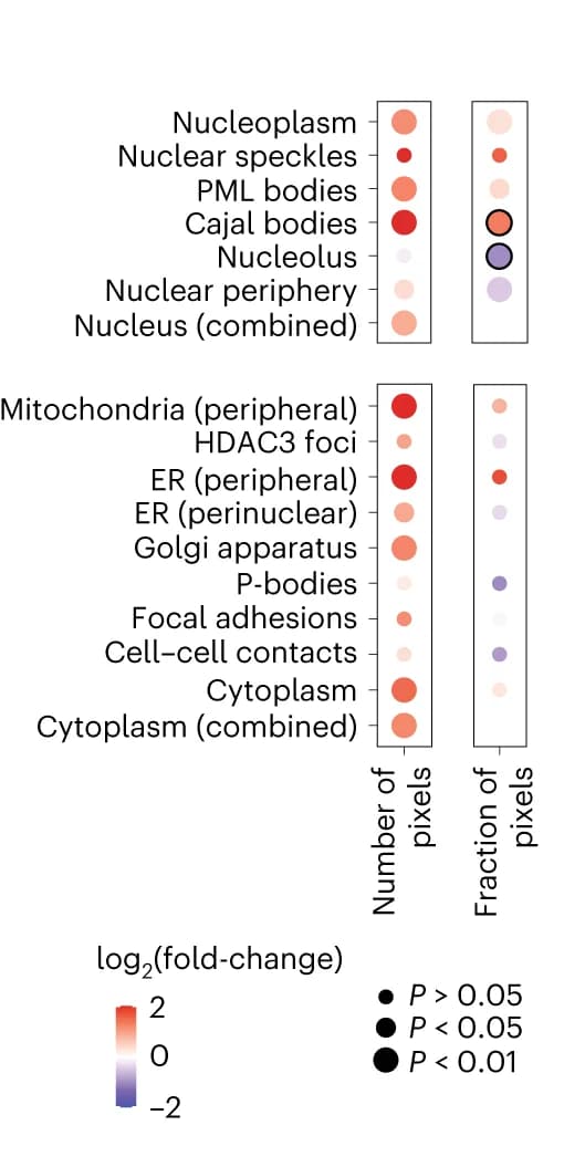 Open access visualization of Bubble Plot, Volcano Plot, Log 2 fold-changes, Pixels per cell, CSLs
