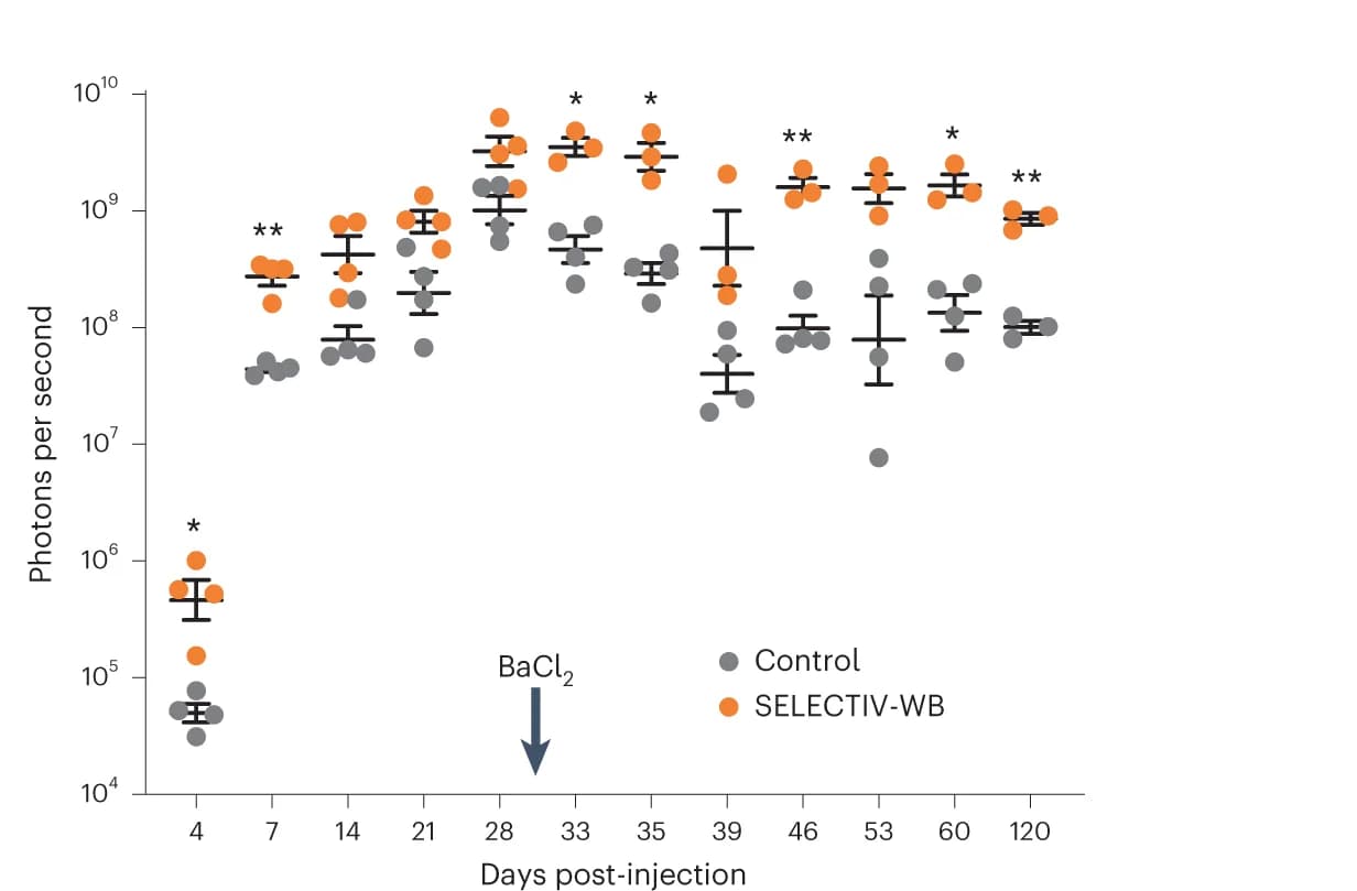 Open access visualization of Scatter Plot, Error Bars, In vivo transduction, AAV2-luciferase, In vivo imaging