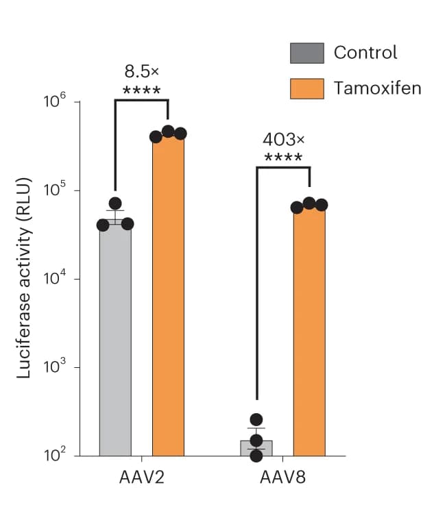 Open access visualization of Bar Plot, Error Bars, AAV2-Luciferase, AAV8-Luciferase, Luciferase Activity