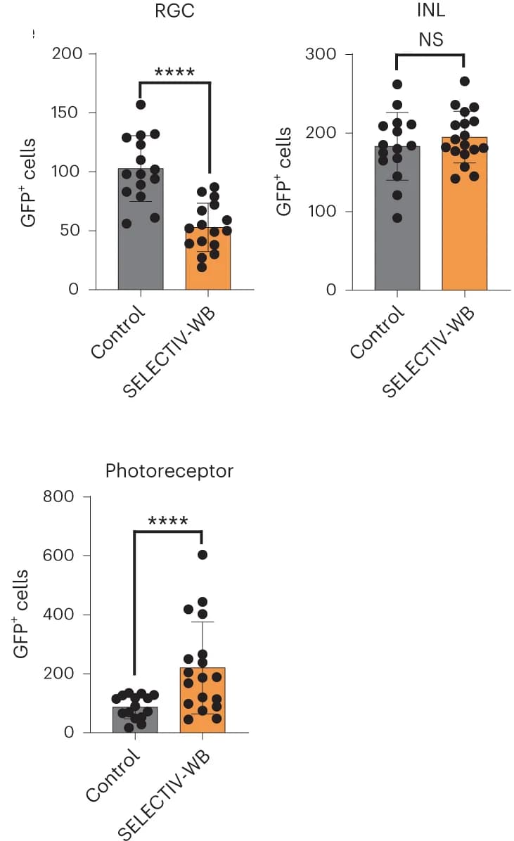 Open access visualization of Bar Plot, Scatter Plot, Error Bars, Quantification, GFP-Positive Cells