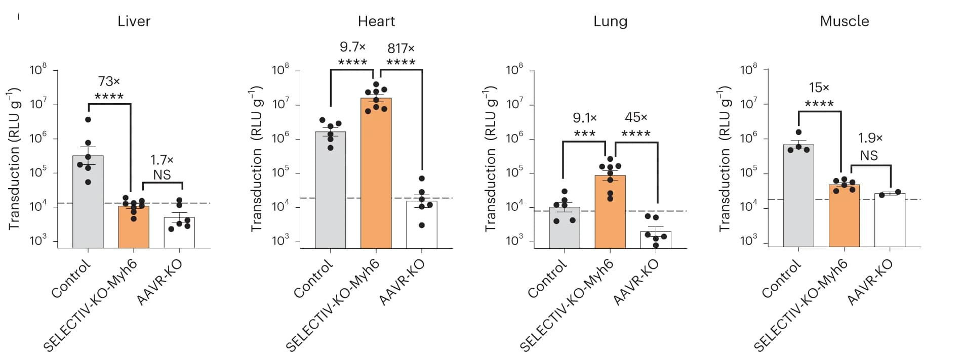 Open access visualization of Bar Plot, Error Bars, Scatter Plot, Control Mice, SELECTIV-KO-Myh6 Mice
