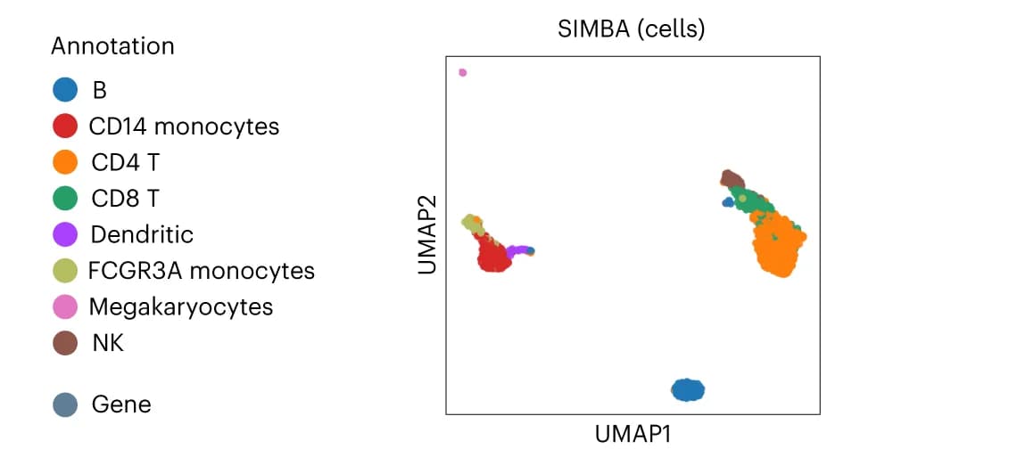 Open access visualization of UMAP, UMAP Visualization, SIMBA Embeddings, Cells, Cell Type