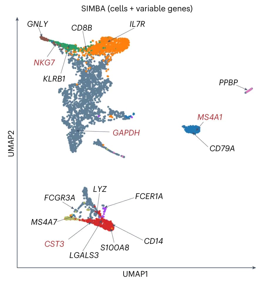 Open access visualization of UMAP, UMAP Visualization, SIMBA Embeddings, Cells, Variable Genes
