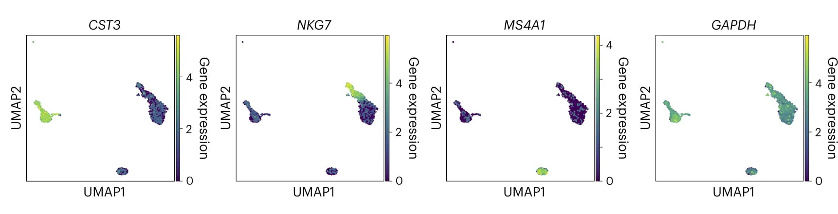 Open access visualization of Scatter Plot, UMAP, UMAP Visualization, SIMBA Embeddings, Cells