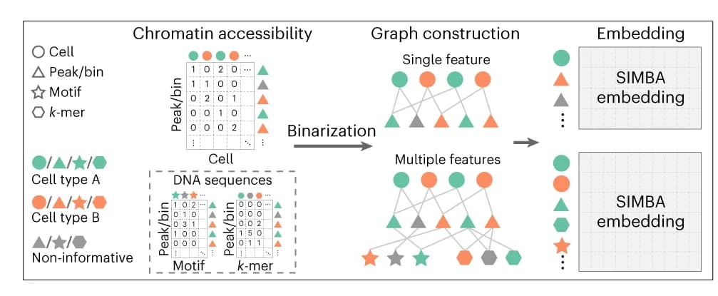 Open access visualization of Workflow, Flowchart, SIMBA, scATAC-seq, Cells