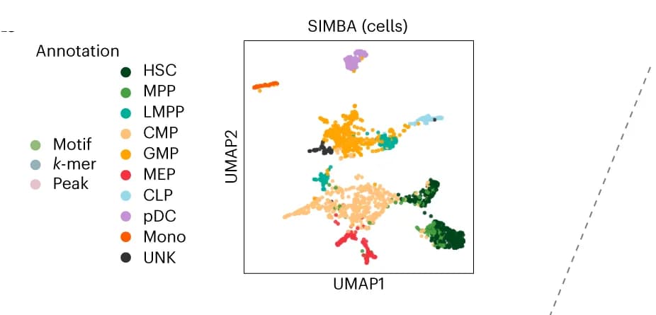 Open access visualization of UMAP, SIMBA, Cells, Cell Type