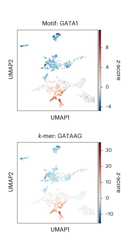 Open access visualization of UMAP, Scatter Plot, SIMBA, Cells, TF Activity