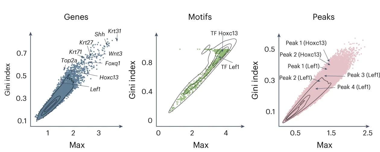 Open access visualization of Scatter Plot, Density Plot, SIMBA, Genes, TF motifs