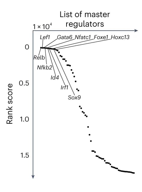 Open access visualization of Scatter Plot, Master regulators, SIMBA, TF gene, TF motif