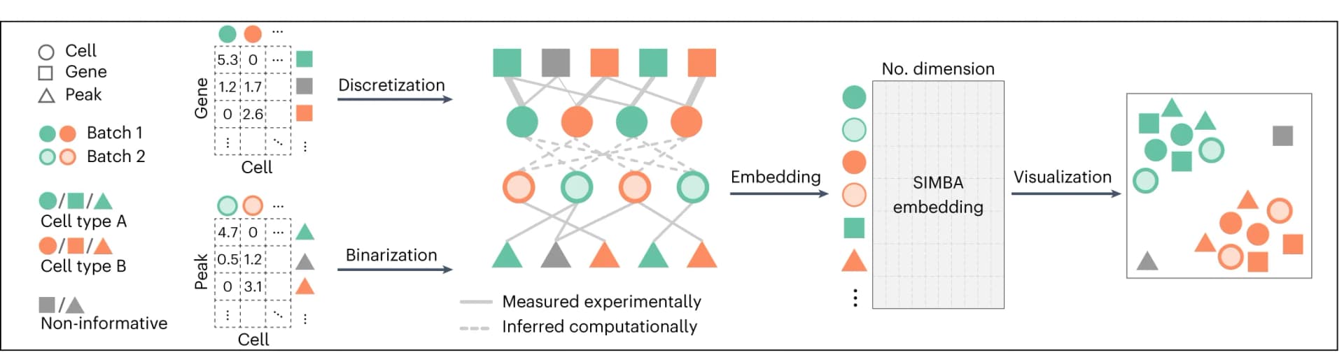 Open access visualization of Workflow, Network, Scatter Plot, SIMBA, scRNA-seq