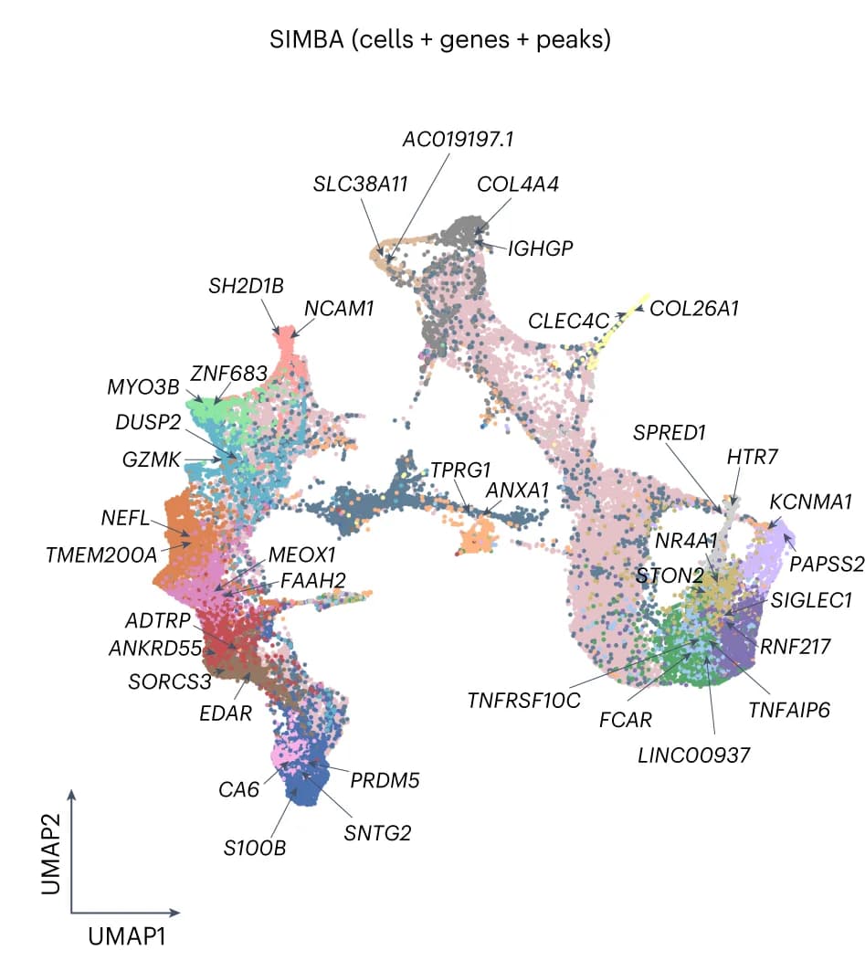 Open access visualization of UMAP, SIMBA, Cells, Genes, Peaks