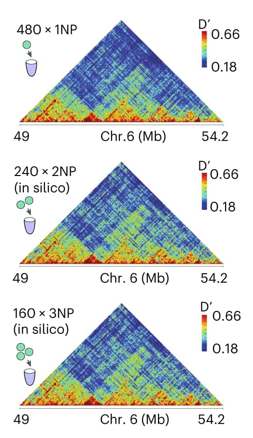 Open access visualization of Heatmap, Multiplex-GAM, In silico, Contact maps, Linkage disequilibrium