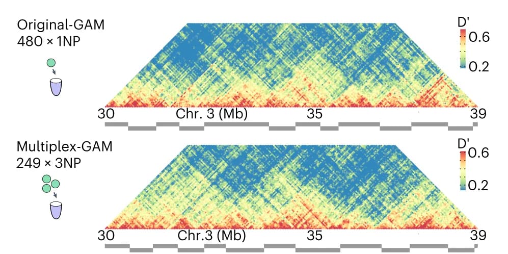 Open access visualization of Heatmap, Sox2 locus, GAM, Contacts, Chromosome