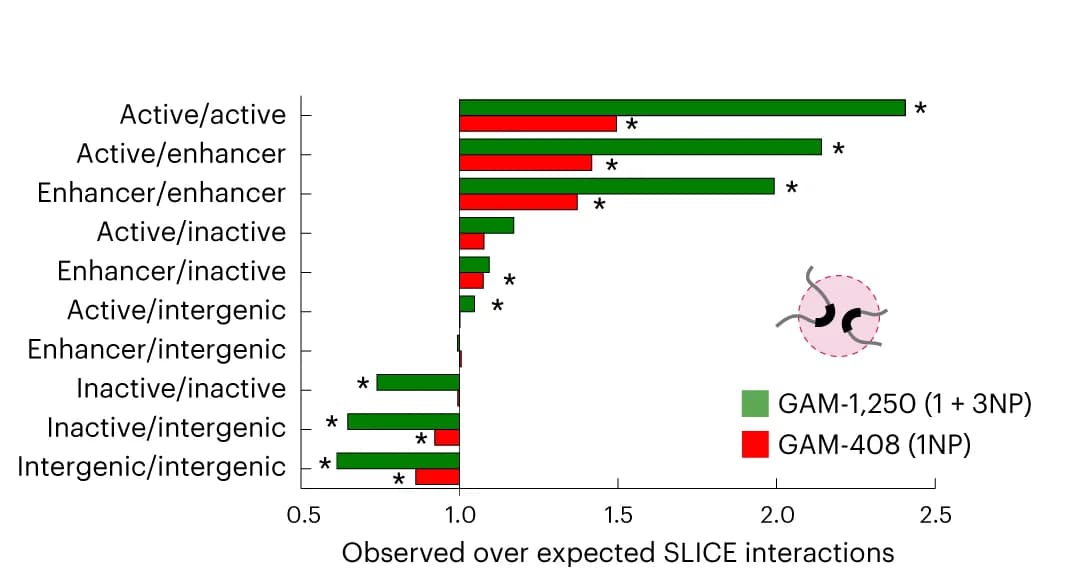 Open access visualization of Bar Plot, Clustered, Enrichment analysis, Pairwise interactions, SLICE