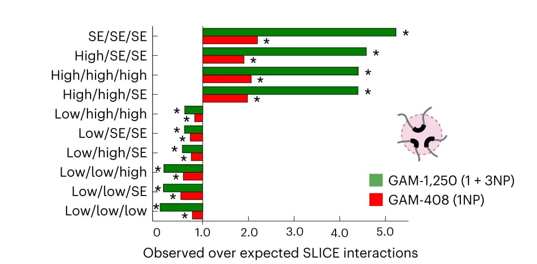 Open access visualization of Bar Plot, Enrichment analysis, Triplet interactions, SLICE, Topologically associating domains