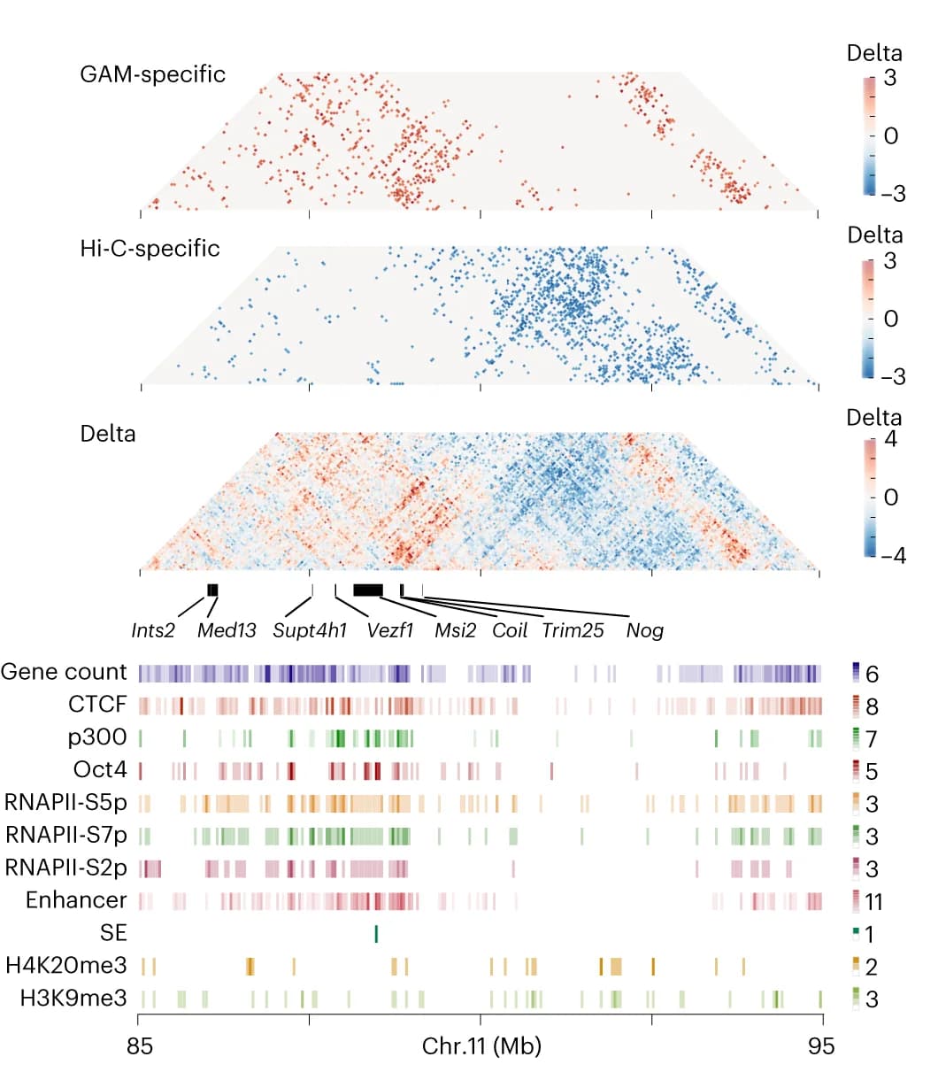 Open access visualization of Heatmap, Contact Matrices, Hi-C, GAM, Genomic Locus