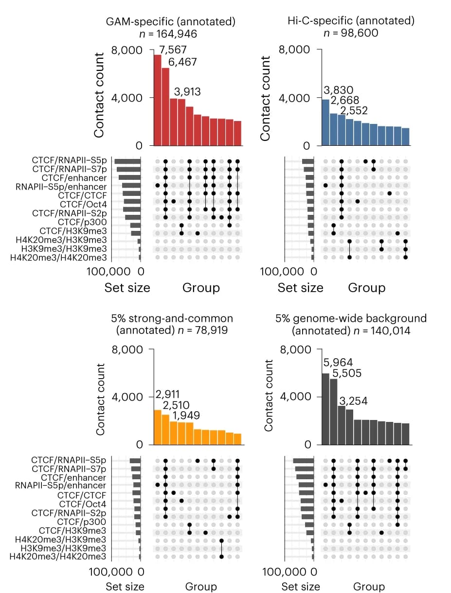 Open access visualization of Bar Plot, UpSet, UpSet Plots, Co-occurrence, Enriched Feature Pairs