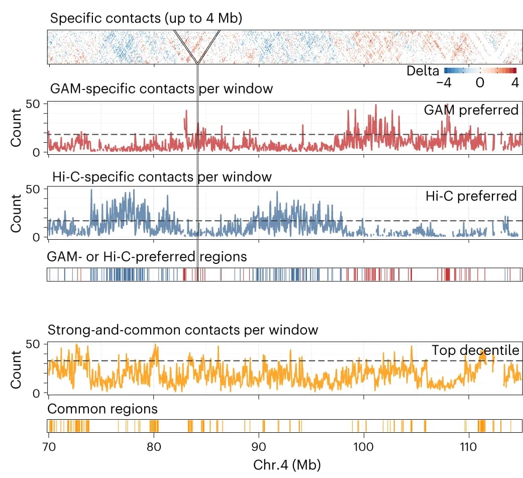 Open access visualization of Line Plot, Heatmap, Bar Plot, Chromosome 4, Delta z-score matrix