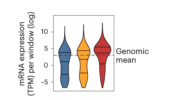 Open access visualization of Violin Plot, Transcriptional activity, Genes, TPM, Hi-C-preferred regions