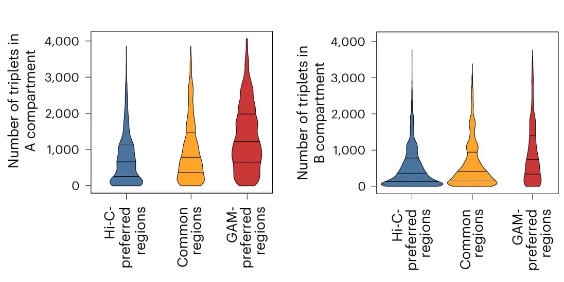 Open access visualization of Violin Plot, Hi-C, GAM, Triplets, A Compartment