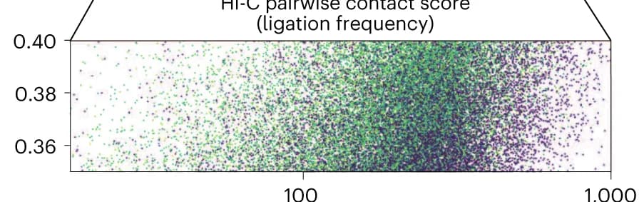 Open access visualization of Scatter Plot, Hi-C, GAM, Ligation Frequency, Linkage