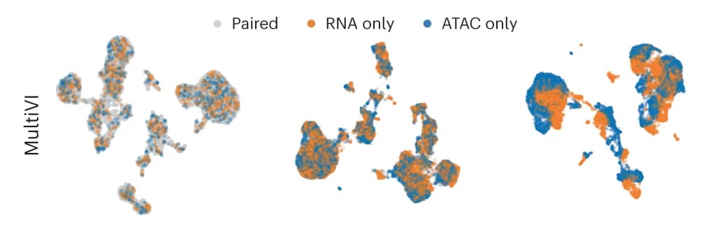 Open access visualization of Scatter Plot, UMAP, PCA, Latent spaces, MultiVI