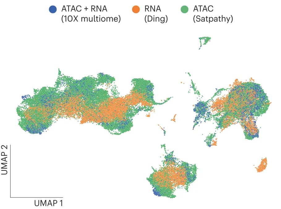Open access visualization of Scatter Plot, UMAP, MultiVI, Latent Space, Cell Modality