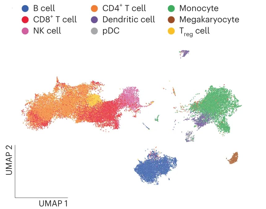 Open access visualization of Scatter Plot, UMAP, MultiVI, Latent Space, Cell Type