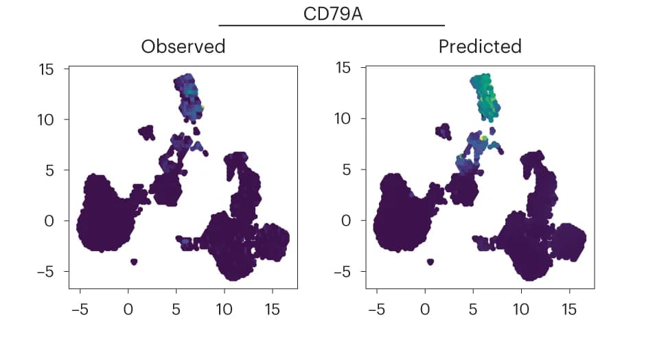 Open access visualization of Scatter Plot, UMAP, B Cell Marker, CD79A, Expression Values