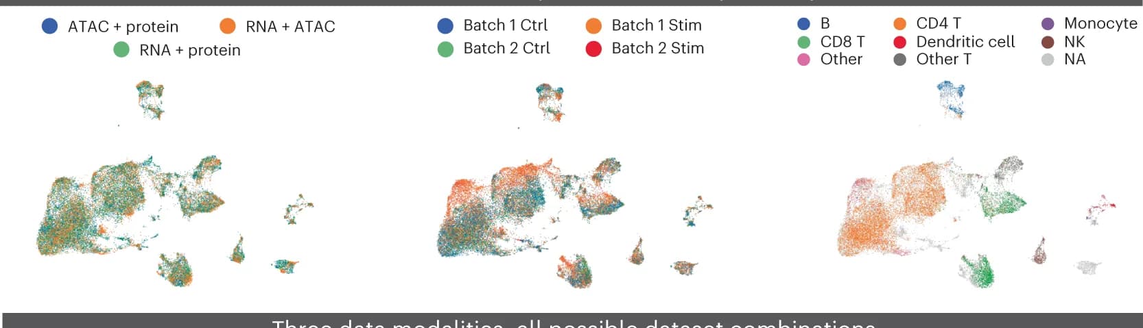 Open access visualization of UMAP, PBMCs, DOGMA-seq, MultiVI, Latent Representation
