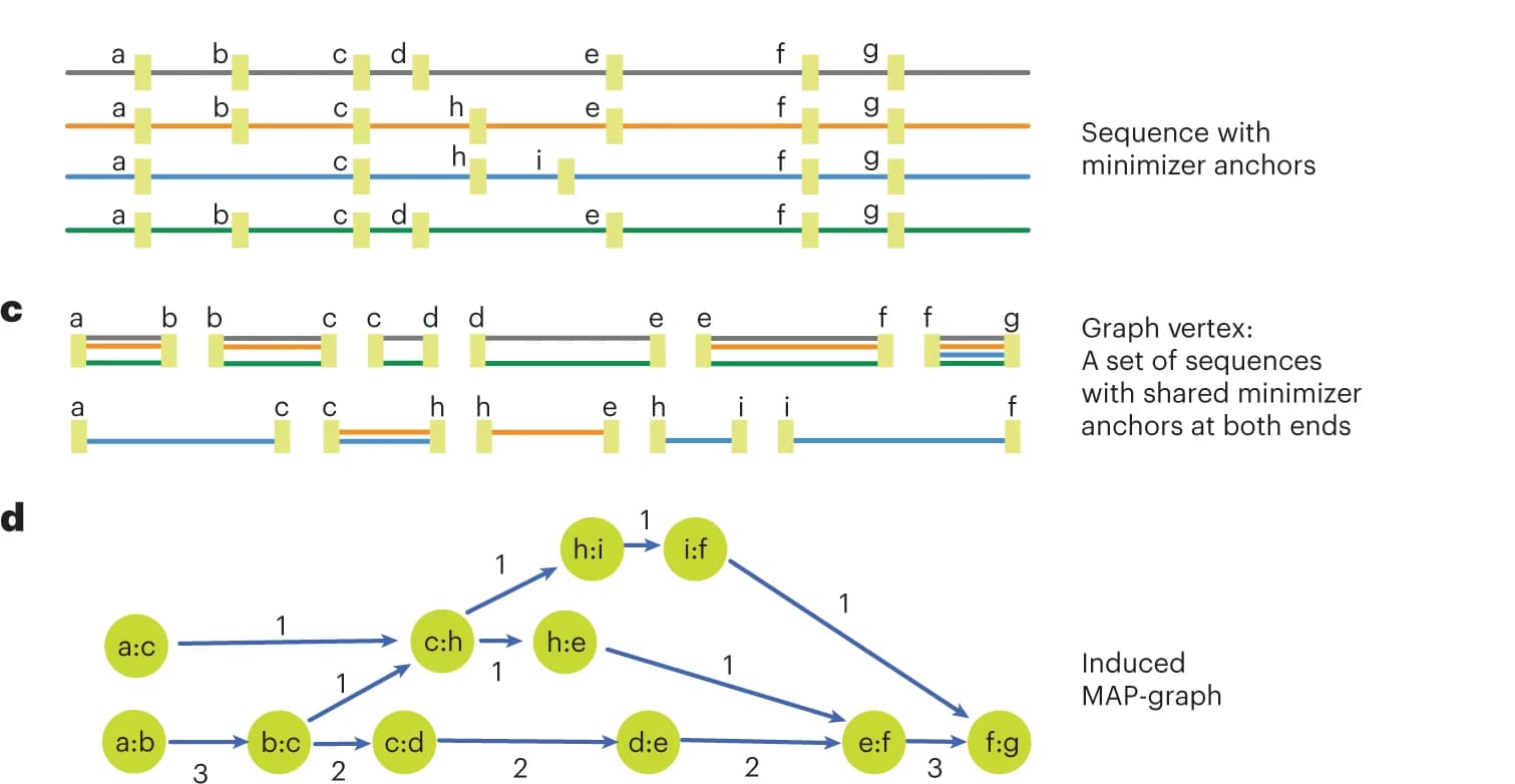 Open access visualization of Network, Pathway, Sequence database, Minimizers, SHIMMER database