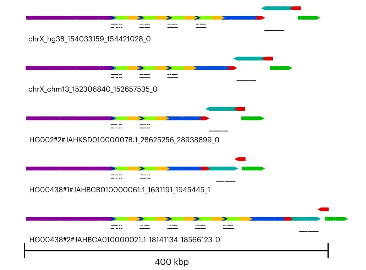 Open access visualization of Illustration, MAP-graph, Principal Bundle Decomposition, Repeat Number, OPN1LW
