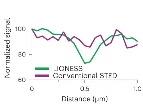 Open access visualization of Line Plot, Line Profiles, Synaptic Cleft