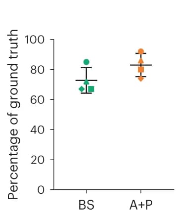 Open access visualization of Scatter Plot, Error Bars, Spines, Segmentation, Dendrite