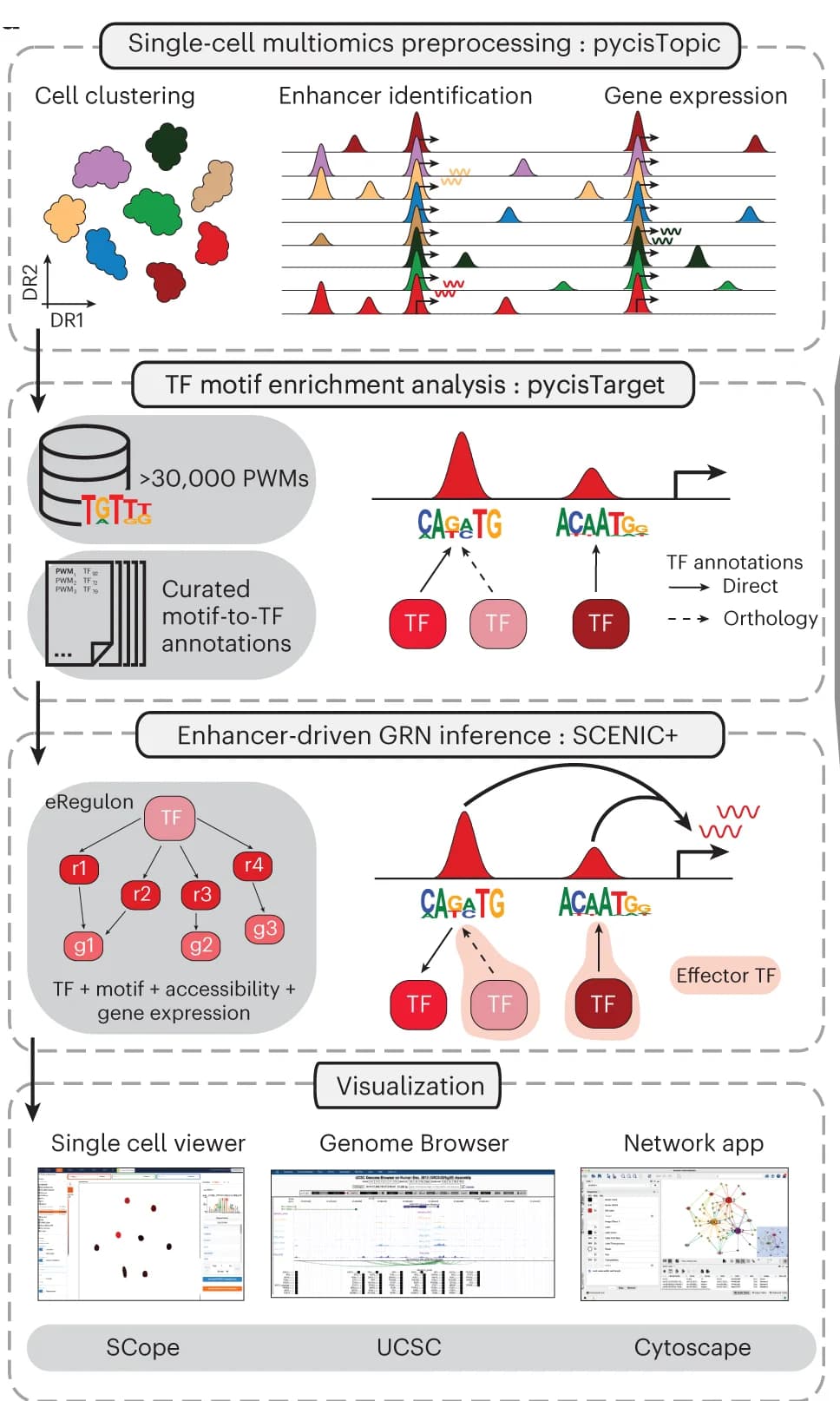 Open access visualization of Workflow, Flowchart, Line Plot, Scatter Plot, Network