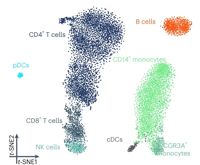 Open access visualization of Scatter Plot, UMAP, PCA, t-SNE, Dimensionality Reduction