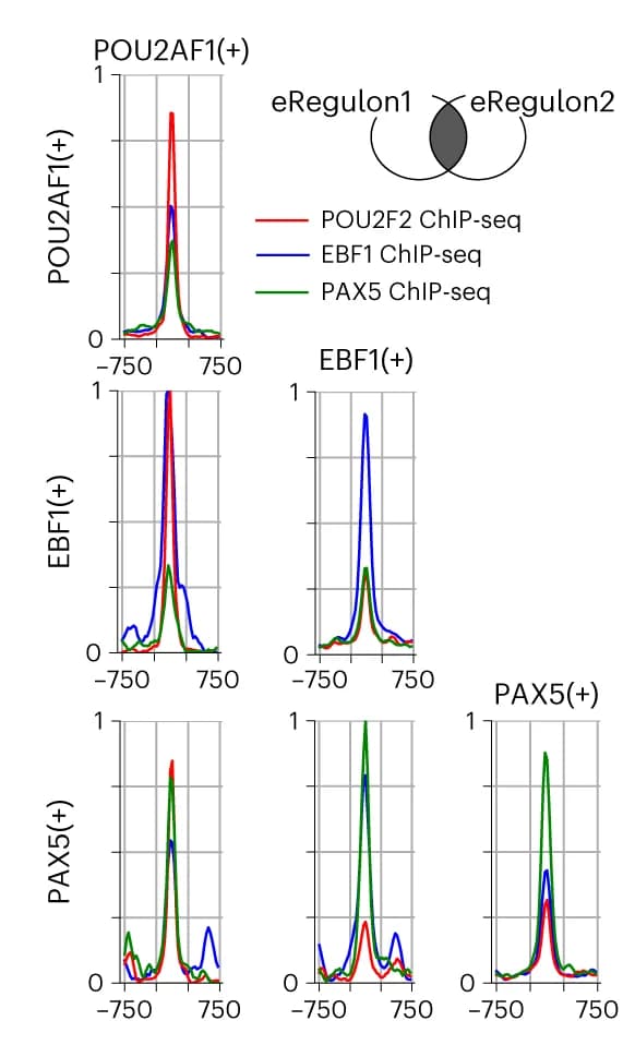 Open access visualization of Line Plot, Venn Diagram, ChIP-seq, EBF1, PAX5