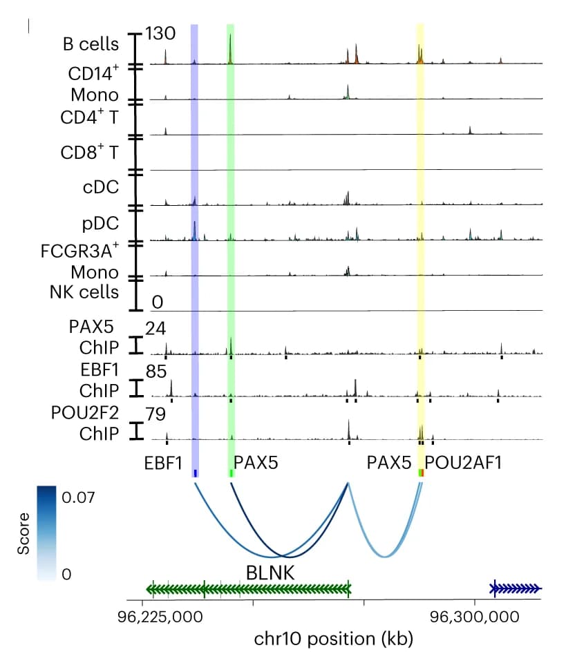 Open access visualization of Line Plot, Error Bars, Chromatin-Accessibility Profiles, ChIP-seq, EBF1