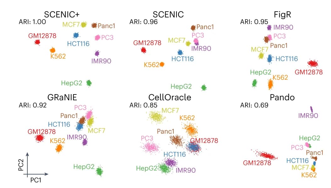 Open access visualization of Scatter Plot, PCA, Principal Component Analysis, Target Gene, Region