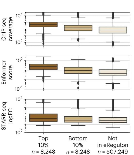 Open access visualization of Box Plot, Distributions, Experimental, Predicted, Transcription Factor ChIP-seq Coverage
