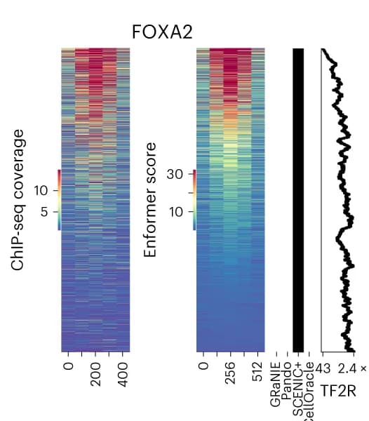 Open access visualization of Heatmap, Line Plot, Heat Maps, Experimental, Predicted