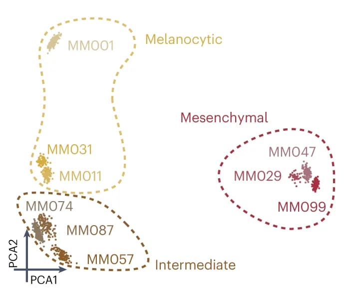 Open access visualization of Scatter Plot, PCA, Pseudo-Multiome Cells, Target Gene, Target Region